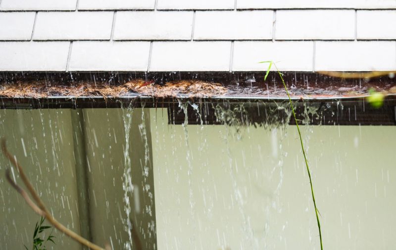 Gutter and Downspout Maintenance