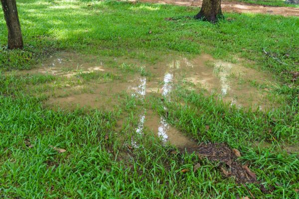 Storm Water Drainage Service in Aurora