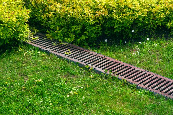 Lawn Drainage in Aurora