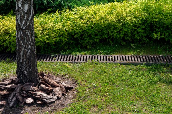 Garden Drainage Installation in Aurora