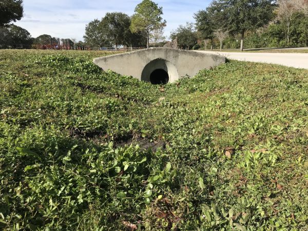 Cost of Swale Drainage Service in Aurora